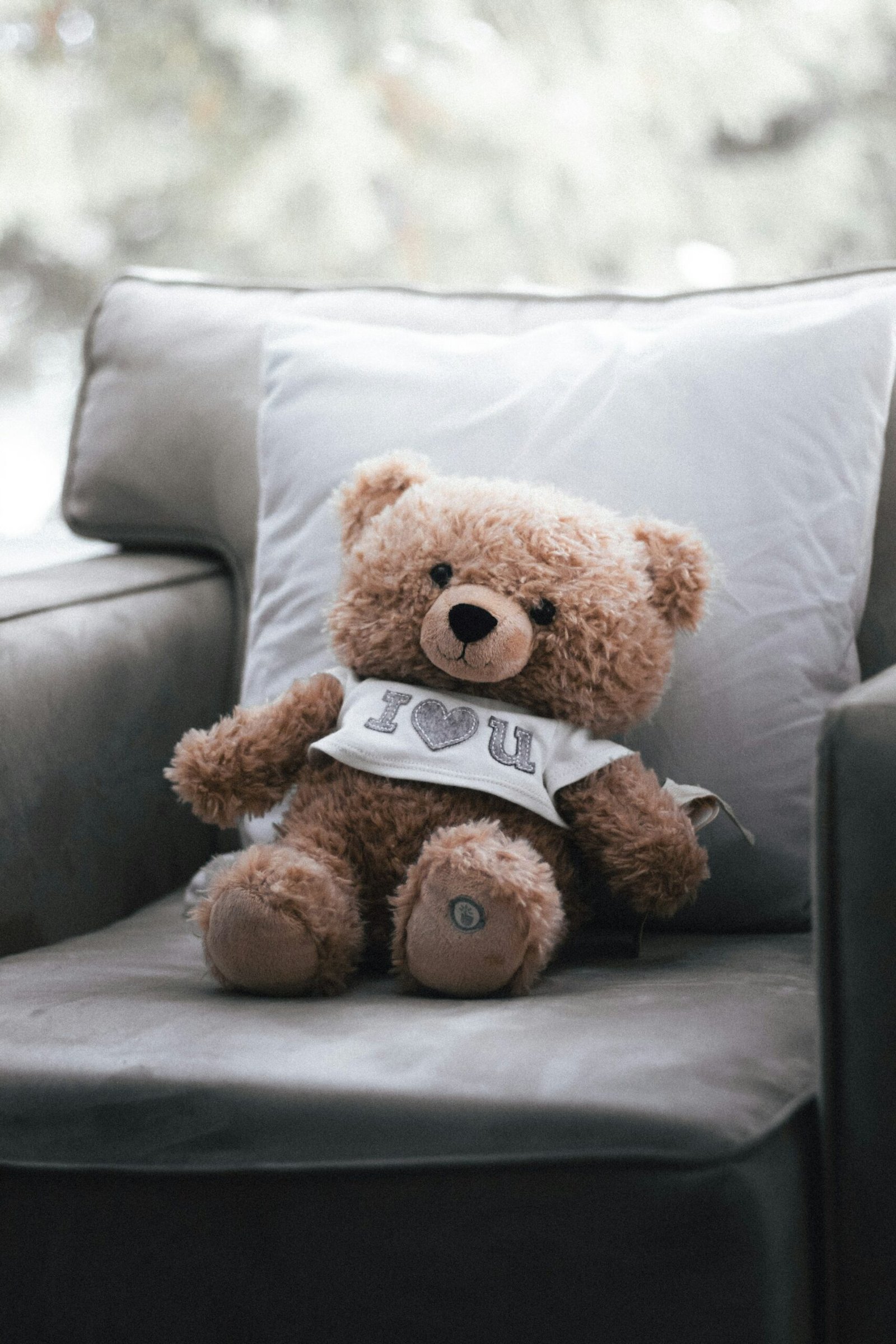 Teddy bear sitting on a sofa in a dry living room