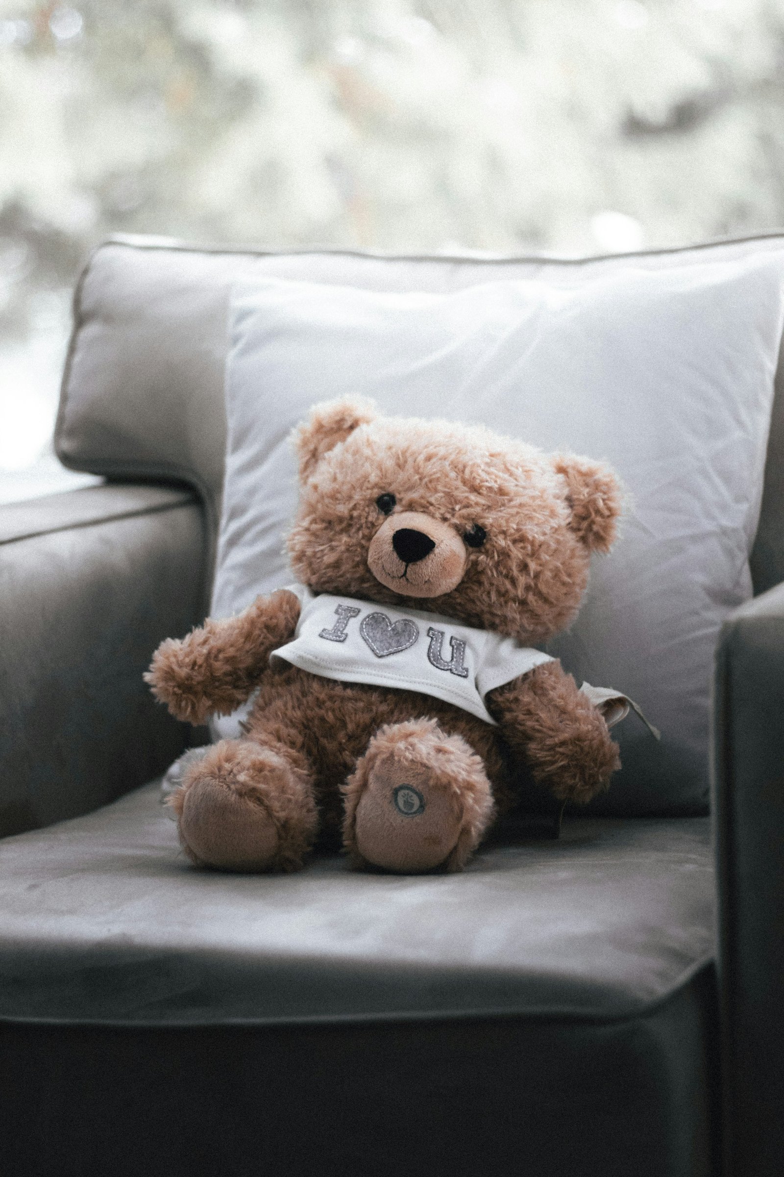 Teddy bear resting on a couch for seasonal storage guidance